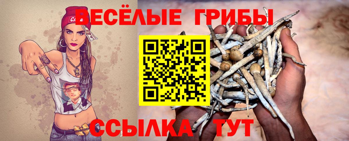 Будённовск  Псилоцибиновые грибы прущие грибы  Псилоцибиновые грибы ЛСД  Вход с VPN 