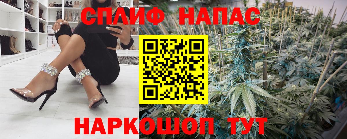 Конопля марихуана Будённовск